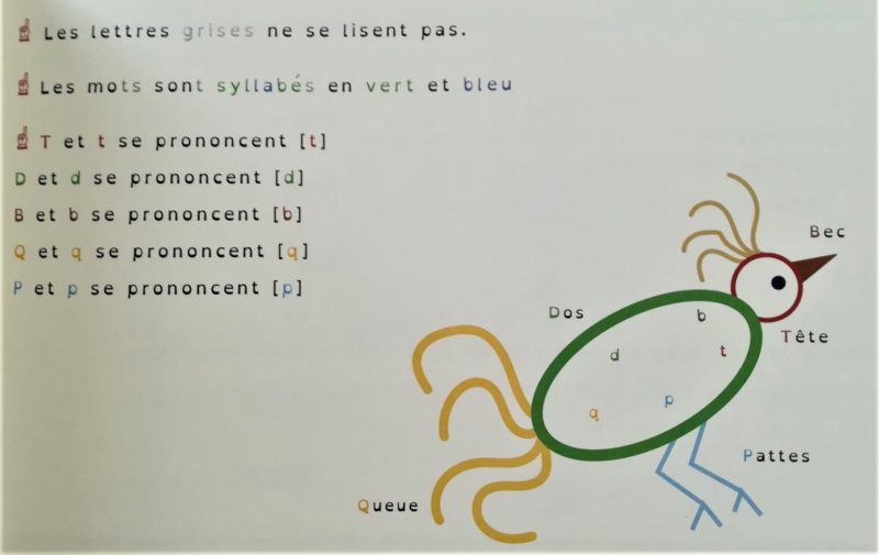 Lily et les tournesols magiques / en savoir + – Image 3